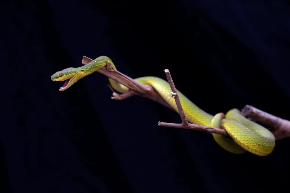 Some Photos: Animals