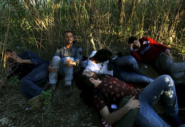 A group of Syrian immigrants hide as they make their way towards Greece's border with Macedonia in Kilkis prefecture May 14, 2015. (Photo by Yannis Behrakis/Reuters)