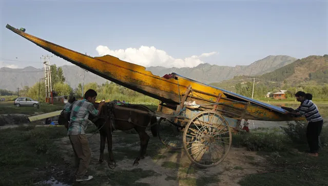 Kashmiri men unload a boat from a horse cart near Dal Lake in Srinagar August 8, 2012. (Photo by Danish Ismail/Reuters)