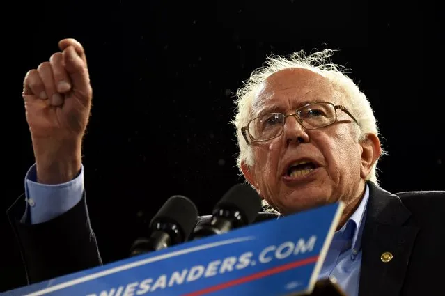 Democratic presidential candidate Bernie Sanders addresses a primary night election rally in Carson, California, May 17, 2016. (Photo by Robyn Beck/AFP Photo)