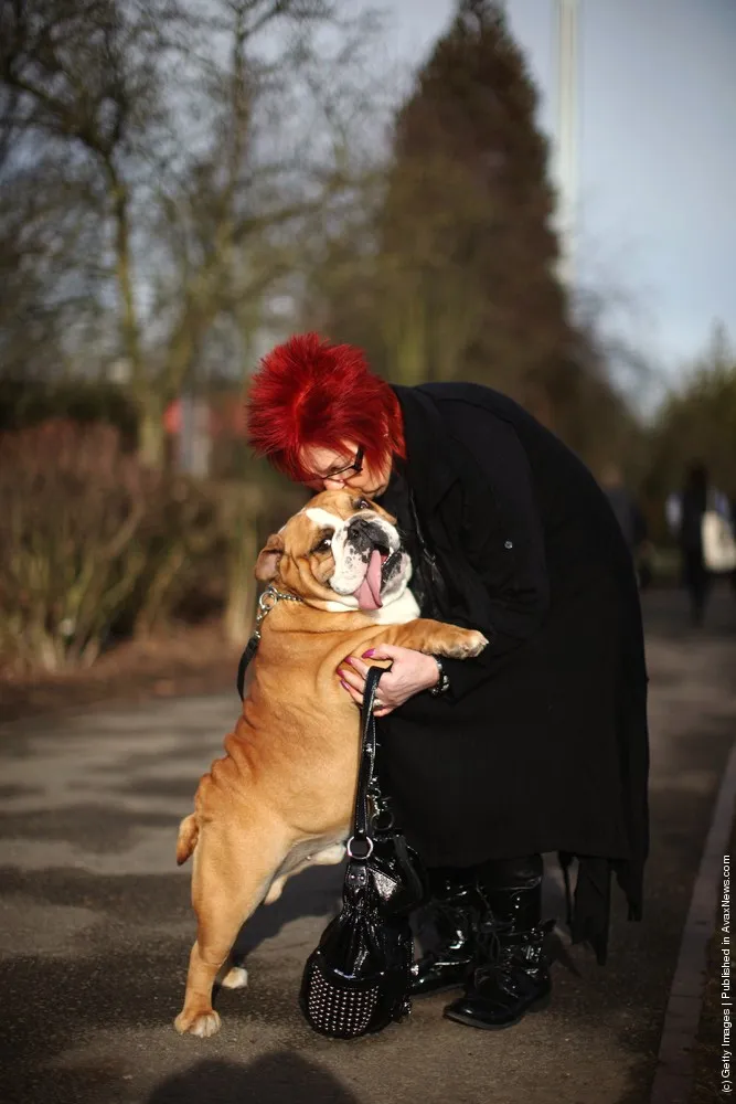 Dogs and Owners Gather for 2012 Crufts Dog Show. Part I