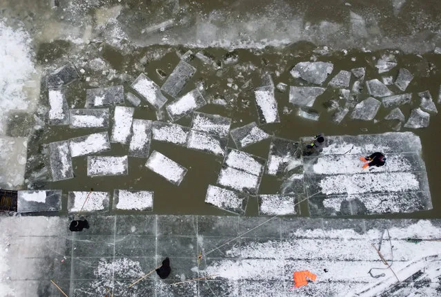This aerial photo taken on December 10, 2019 shows workers cutting ice blocks from the frozen Songhua river in Harbin, China's northeastern Heilongjiang province. Liu Yantao and his six co-workers toil on a frozen river in northeast China before dawn, using hand tools and machines to carve large ice bricks for the annual Harbin Ice Festival. (Photo by Noel Celis/AFP Photo)