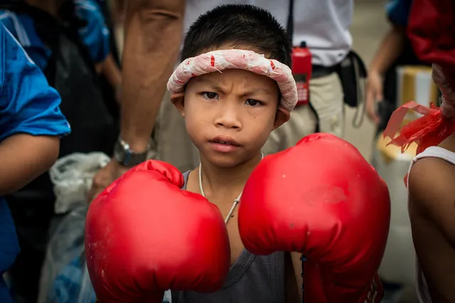 “Muay Thai Boy”. This little Thai boy gave me an unexpected “tough” look as soon as I readied my camera for this shot. He was dressed up for the village Sport Day in Pa Sang, Lamphun, where various schools annually come together to compete in athletic events for one day. There is a sense of strength and endurance that is instilled so deep in the hearts of the Thai people, and for a mere second, I could see it blooming in his eyes. Photo location: Lamphun, Thailand. (Photo and caption by Lauren Moffett/National Geographic Photo Contest)