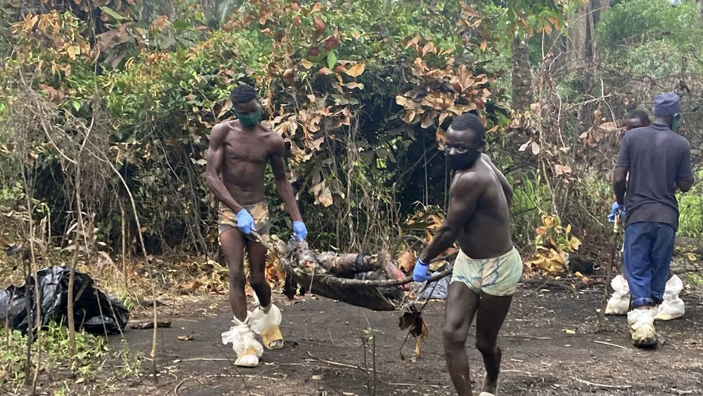 A Look at Life in Africa