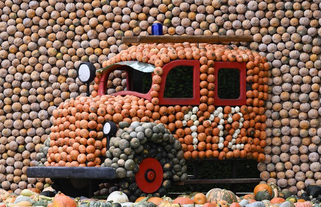 A fire engine made of pumpkins is seen at a pumpkin exhibition in the garden of Ludwigsburg Castle in Ludwigsburg, southern Germany, on August 24, 2023. The pumpkin exhibition is themed “Fire” and lasts until December 3, 2023. (Photo by Thomas Kienzle/AFP Photo)