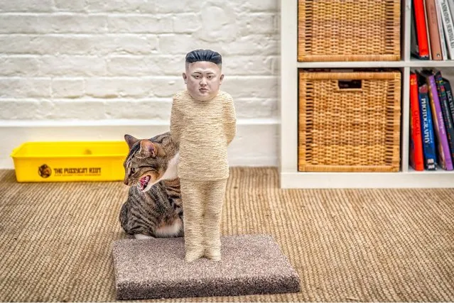 The claws are out for North Korean dictator Kim Jong-un and Russia's Vladimir Putin – as cats now able to use a model of him as a scratching post. And moggies can also maul at Russian president Vladimir Putin, whose face also features on the new cat toys which are 1.5ft tall and cost £4,500. They are made from hessian rope, and 3D-printed faces are then attached to the posts, before they are handpainted. The toys took a team of artists 200 hours to finish. (Photos by The Pussycat Riot)