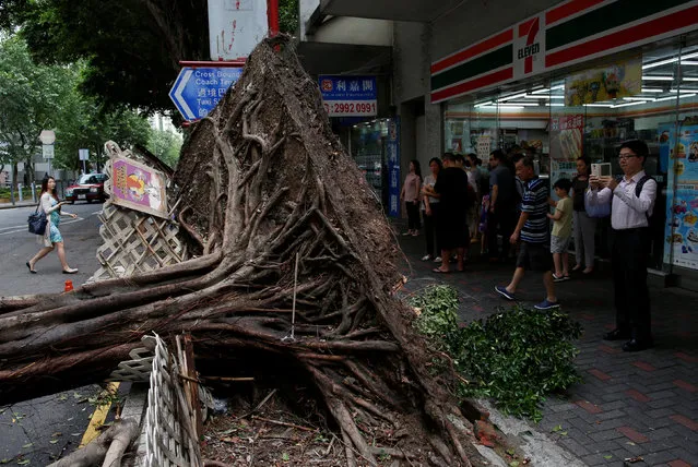 A man takes photo of an uprooted tree after Typhoon Nida hit Hong Kong, China August 2, 2016. (Photo by Tyrone Siu/Reuters)