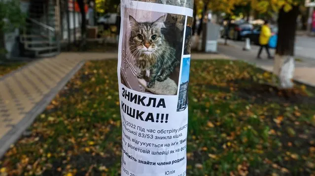 A flyer on October 11, 2022 asks for help in finding a cat who disappeared during the missile attack in capital Kyiv of Ukraine. “Emma” was later found. (Photo by Serhiy Nuzhnenko/Radio Free Europe/Radio Liberty)