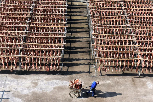 A worker pulls a cart filled with Jinhua ham at a ham-processing facility in Jinhua, Zhejiang province, China December 18, 2017. Picture taken December 18, 2017. (Photo by William Hong/Reuters)