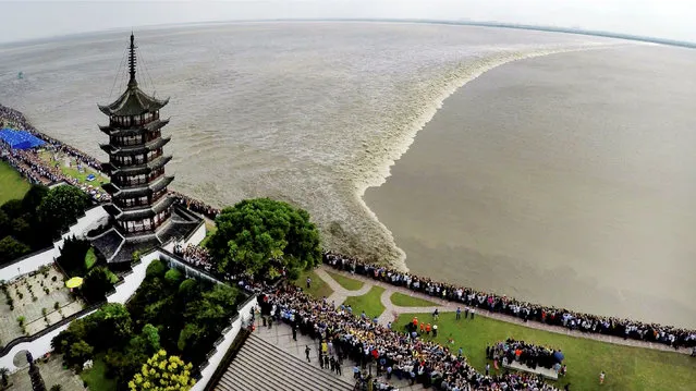 Spectators watch a tidal bore as it travels down the Qiantang river in Zhejiang province, Haining, China on September 18, 2016. (Photo by Imaginechina/Rex Features/Shutterstock)