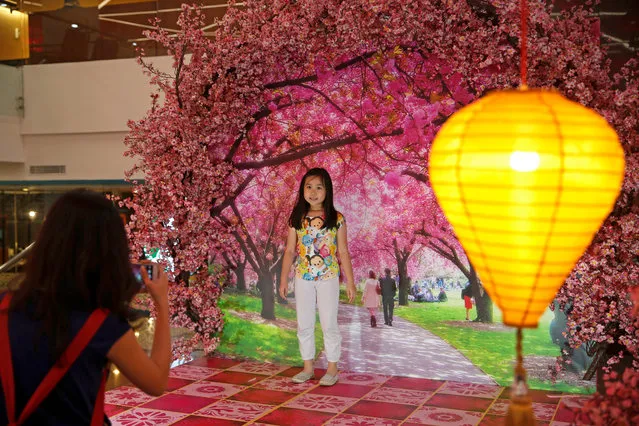 A child poses for picture with flower decoration for the upcoming Chinese Lunar New Year of the Dog at Ciputra shopping mall in Jakarta, Indonesia, February 14, 2018. (Photo by Reuters/Beawiharta)