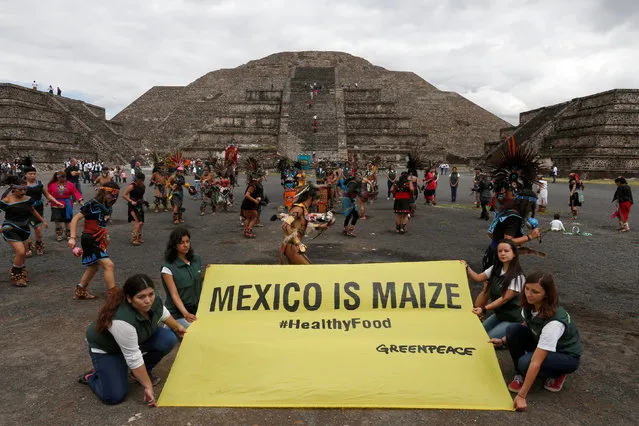 Greenpeace volunteers hold a banner as dancer wearing pre-Hispanic themed clothing performs a ritual for corn, during a protest against the growing of transgenic corn, or genetically modified corn, in the country during National Corn Day celebration at the archeological site of Teotihuacan, Mexico September 29, 2016. (Photo by Carlos Jasso/Reuters)