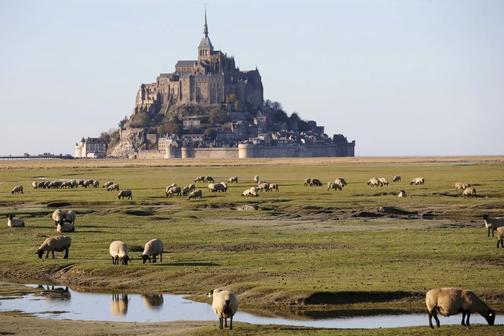 The Day in Photos – November 1, 2015