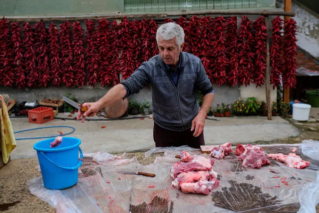 A man cuts meat as bunches of paprika hang on the wall of his house to dry in the village of Donja Lakosnica, Serbia October 6, 2016. (Photo by Marko Djurica/Reuters)