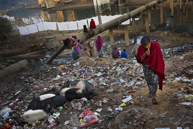 An Indian man brushes his teeth using a neem, or native Indian tree, stick as others attend to their morning chores next to a sewage canal before they leave for work early morning in New Delhi, India, Friday, December 12, 2014. India is considered to have the world's worst sanitation record, with some 69 percent of the 1.2 billion population still defecating in the open. (Photo by Bernat Armangue/AP Photo)