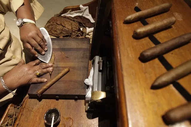 Staff member Maria Regla, 60, rolls cigars at a hotel in Havana December 19, 2014. (Photo by Enrique De La Osa/Reuters)