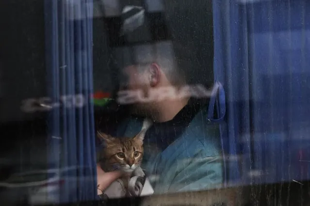 A person holding a cat sits next to a bus window, as people go to western parts of the country after Russian President Vladimir Putin authorized a military operation in eastern Ukraine, in Kyiv, Ukraine on February 24, 2022. (Photo by Umit Bektas/Reuters)
