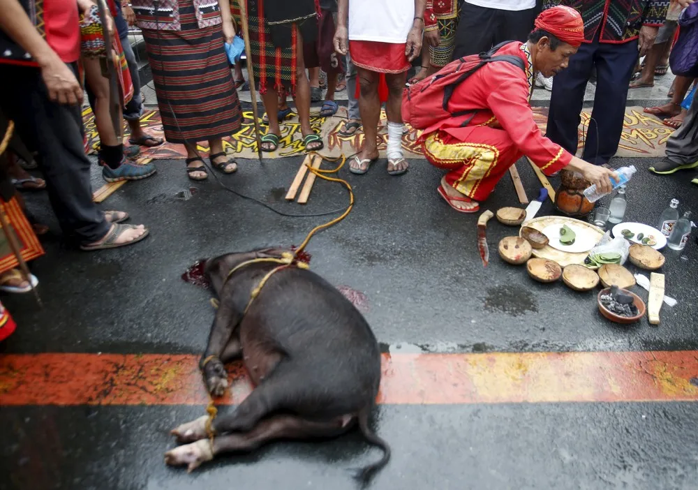 The Day in Photos – November 19, 2015