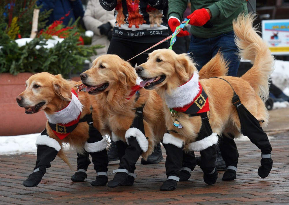 USA last Week, Part 1/2