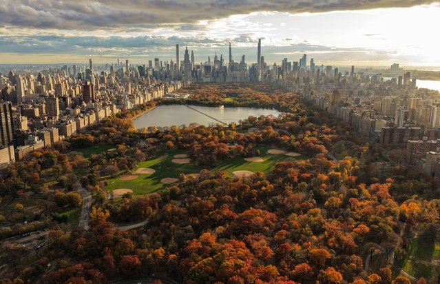 Fall foliage in full color is seen in New York City's Central Park during sunset, as vibrant red, orange, and yellow leaves blanket the park against the Manhattan skyline in the United States on November 13, 2025. (Photo by Lokman Vural Elibol/Anadolu via Getty Images)
