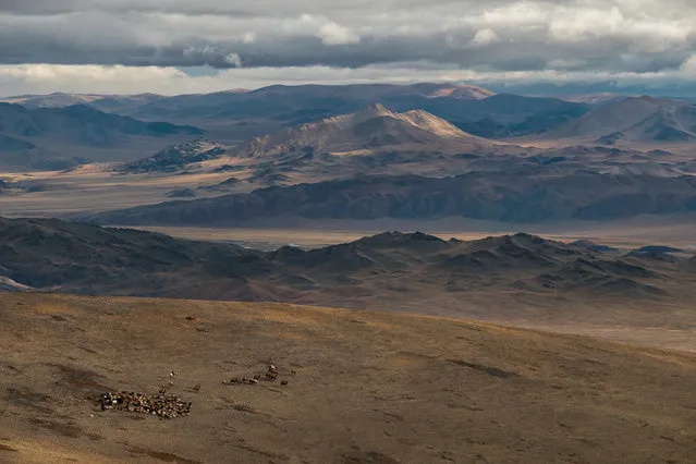 Kazakhs are a nomadic people and move between their seasonal homes several times a year in Altai Mountains, Mongolia, September 2016. (Photo by Joel Santos/Barcroft Images)