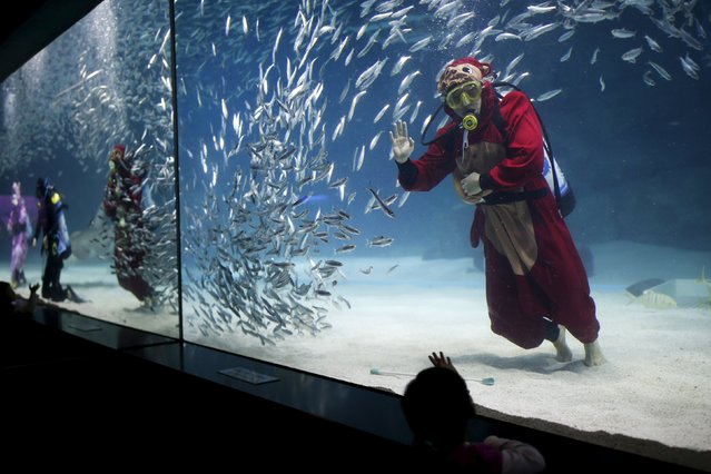 A diver dressed in a monkey costume featuring animal signs from the Chinese zodiac calendar, performs with sardines, in conjunction with Chinese Lunar New Year celebrations at an aquarium in Seoul, South Korea, January 12, 2016. (Photo by Kim Hong-Ji/Reuters)