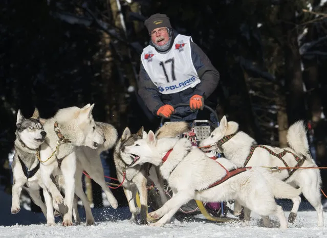 Musher Dieter Bruening competes with his dog-sled during the Trans-Thuringia race, one of the biggest dog-sled races with purebred dogs in central Europe, in the Thuringian Forest near Fehrenbach, central Germany, Saturday, February 14, 2015. (Photo by Jens Meyer/AP Photo)