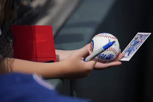 A Chicago Cubs fan waits for third baseman Patrick Wisdom to autograph a baseball and trading card before a baseball game against the Colorado Rockies, Wednesday, September 13, 2023, in Denver. (Photo by David Zalubowski/AP Photo)