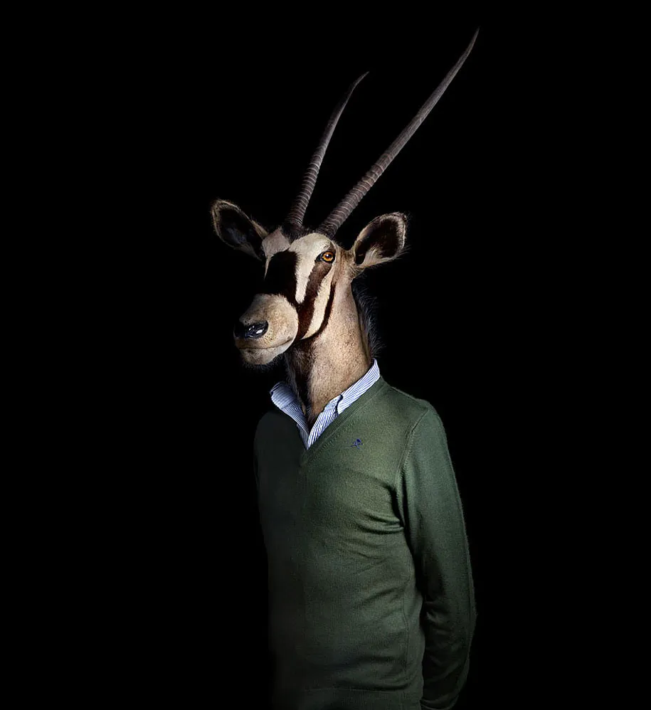 Animals Dressed by Miguel Vallinas