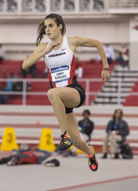 Georgia athlete Leontia Kallenou runs in preparation to leap over the bar during the high jump event during the NCAA indoors track and field national championships Friday, March 13, 2015, in Fayetteville, Ark. (Photo by Gareth Patterson/AP Photo)