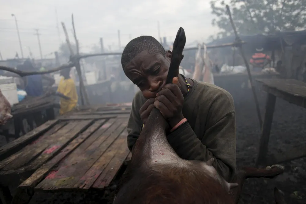 Inside a Haitian Slaughterhouse