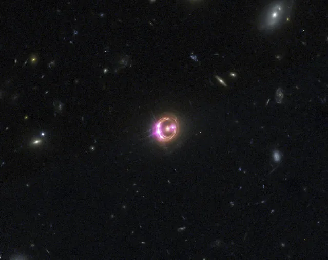 Multiple images of a distant quasar are visible in this undated combined view from NASAís Chandra X-ray Observatory and the Hubble Space Telescope. For the first time, scientists have measured the spin of a distant supermassive black hole and found that its rate of rotation is about 3.5 trillion mph – roughly half the speed of light. The finding provides insights into how the black hole and its host galaxy formed. (Photo by Reuters/NASA)