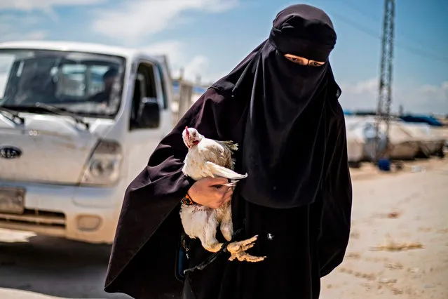 A woman displaced from Syria's eastern Deir Ezzor province, carries a hen as she walks in al-Hol camp for displaced people, in al-Hasakeh governorate in northeastern Syria on April 18, 2019. Dislodged in a final offensive by a Kurdish-led ground force and coalition air strikes, thousands of wives and children of IS fighters have flooded in from a string of Syrian villages south of the al-Hol camp in recent months Among the hordes of Syrians and Iraqis, some 9,000 foreigners are held in a fenced section of the encampment, under the watch of Kurdish forces. (Photo by Delil Souleiman/AFP Photo)
