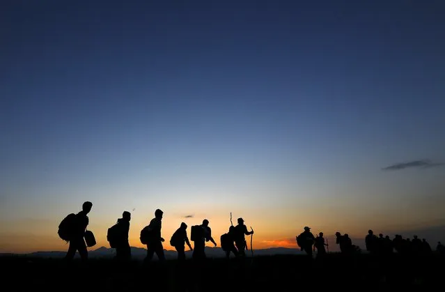 A group of Syrian immigrants are silhouetted as they walk through a field towards Greece's border with Macedonia in Kilkis prefecture May 14, 2015. (Photo by Yannis Behrakis/Reuters)