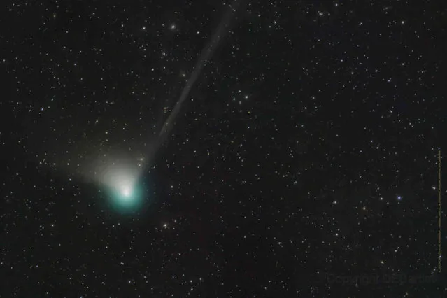 This photo provided by Dan Bartlett shows comet C/2022 E3 (ZTF) on December 19, 2022. It last visited during Neanderthal times, according to NASA. It is expected to come within 26 million miles (42 million kilometers) of Earth on Feb. 1, 2023, before speeding away again, unlikely to return for millions of years. (Photo by Dan Bartlett via AP Photo)