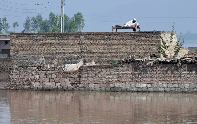 A Pakistani resident rests ontop of his house roof at a flooded area following heavy rain on the outskirts of Peshawar on April 4, 2016. (Photo by A. Majeed/AFP Photo)