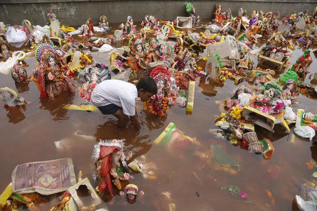 An Indian boy searches for reusable items amid idols of Hindu goddess Dashama lying in river Sabarmati after the end of Dashama festival in Ahmadabad, India, Sunday, August 11, 2019. The ten-days festival celebrated in the Shravan month of the Hindu calendar culminates with the immersion of the idols of the deity who is worshipped for good health and prosperity in this western state of Gujarat. (Photo by Ajit Solanki/AP Photo)