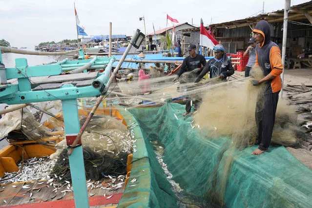 Fisherman remove fish from nets after returning from a fishing trip on their boat in Jakarta, Indonesia, Thursday, February 24, 2022. (Photo by Achmad Ibrahim/AP Photo)