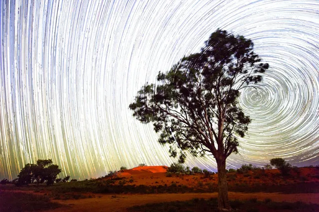 A star trail is seen over red sand dunes in the town of Windorah on August 29, 2016 in Windorah, Australia. Windorah is a sleepy town in the far south-west of Queensland and is famous for hosting the Yabby Races as part of the lead up to the Birdsville Races. (Photo by Bradley Kanaris/Getty Images)