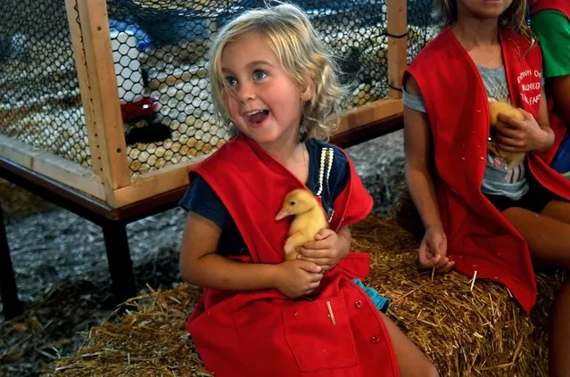Emma Shapley, 4, hugs a 1-week-old duckling at the Howard County Fair in West Friendship, Md. on August 5, 2019. (Photo by Michael S. Williamson/The Washington Post)