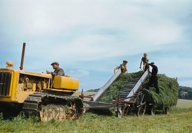 Farmers cutting grass for winter silage at Eynsford in Kent, UK on 1943. (Photo by Ted Dearberg/IWM/PA Wire)