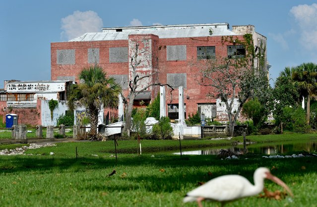 The back of the old Claude Nolan Cadillac dealership on Main Street that backs up to Springfield Park in Jacksonville's historic Springfield neighborhood in Jacksonville, Florida on August 2, 2024. (Photo by Bob Self/Florida Times-Union)