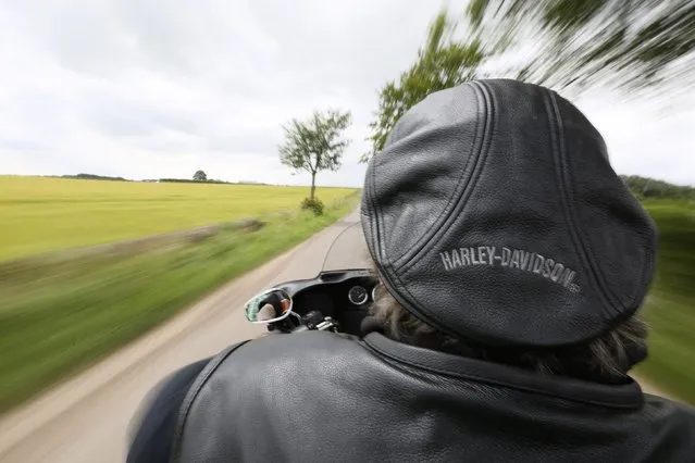 Harley Davidson enthusiast Wolfie rides through the Angus countryside, Scotland, July 12, 2014. Hundreds of bikers left Brechin Castle for a ride out past the Davidson cottage, three miles outside Brechin, just outside the village of Aberlemno. It was from this tiny cottage that Sandy Davidson, a local blacksmith, emigrated to America where three of his grandchildren along with Arthur Harley, became the founding members of the Harley-Davidson Motor Cycle Company. (Photo by Paul Hackett/Reuters)