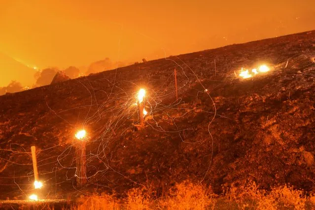 Flying embers from a destroyed fence are seen during the Kincade fire near Geyserville, California, U.S. October 24, 2019. (Photo by Stephen Lam/Reuters)