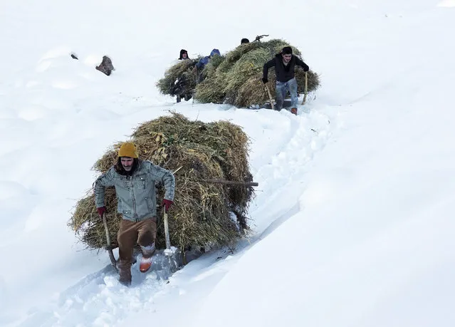 Stockbreeders carry fodder by sleds to feed their animals in a snow covered village on a freezing winter day in Mus province of Turkey on January 17, 2020. (Photo by Yahya Sezgin/Anadolu Agency via Getty Images)