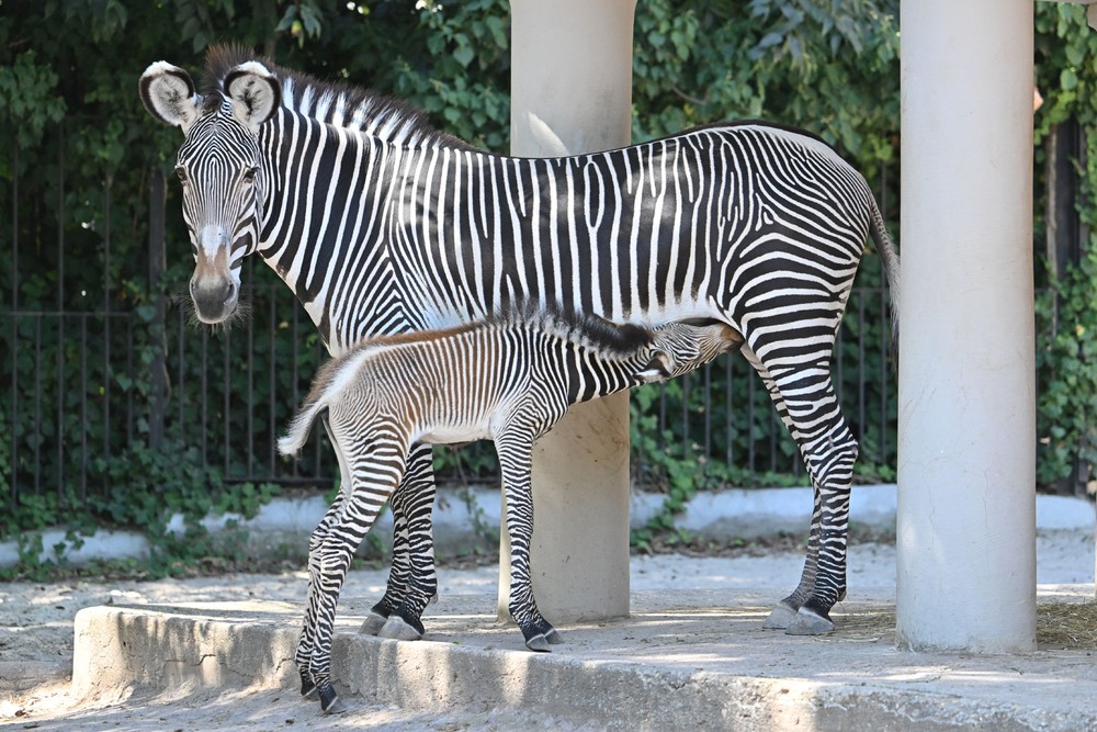 Pictures of the Year 2023, Part 173/224