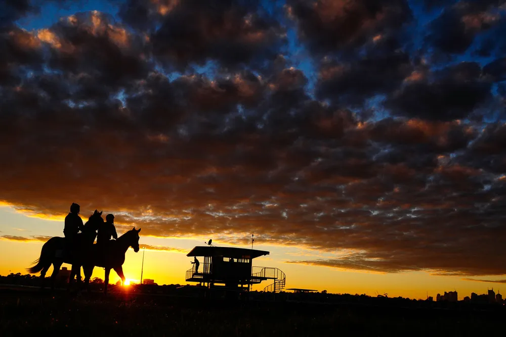 Simply Some Photos: Silhouettes