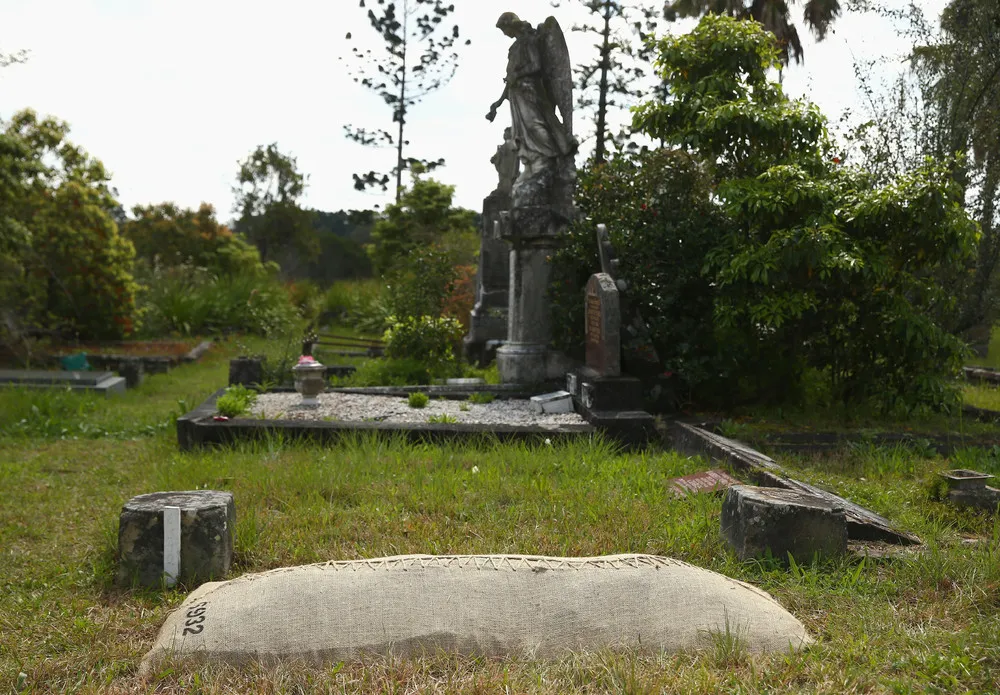 Historic Rookwood Cemetery Holds Annual Sculpture Exhibition