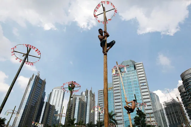Participants climb greased poles to collect vouchers for prizes during a “Panjat Pinang” event organised in celebration of Indonesia's 71st Independence day in Jakarta, Indonesia August 17, 2016. (Photo by Darren Whiteside/Reuters)