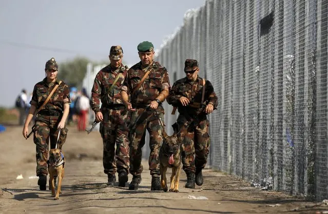 Hungarian soldiers patrol along a fence on the border crossing point from Serbia into the country, near Roszke, Hungary September 13, 2015. (Photo by Dado Ruvic/Reuters)
